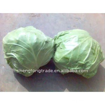 chines fresh round cabbage high quality